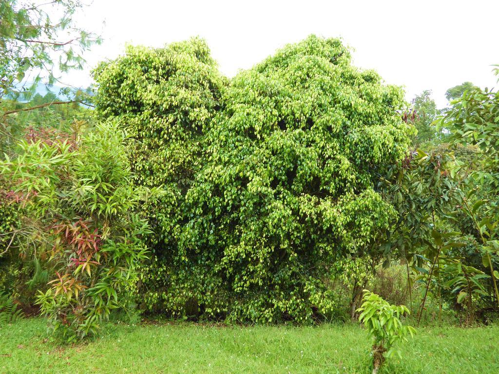 Finca El Cielo San Agustín Exterior foto